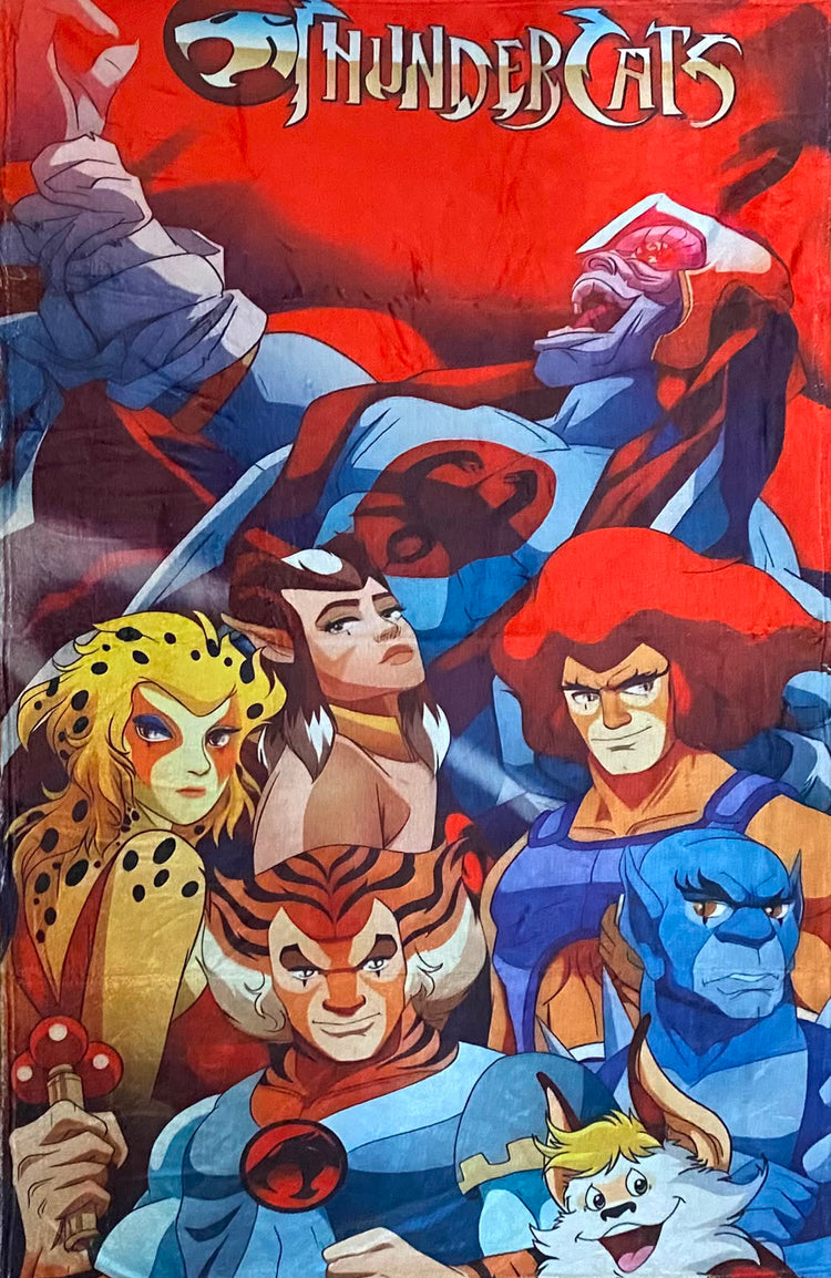 Cobijas y Frazadas - Superheroes - Thundercats