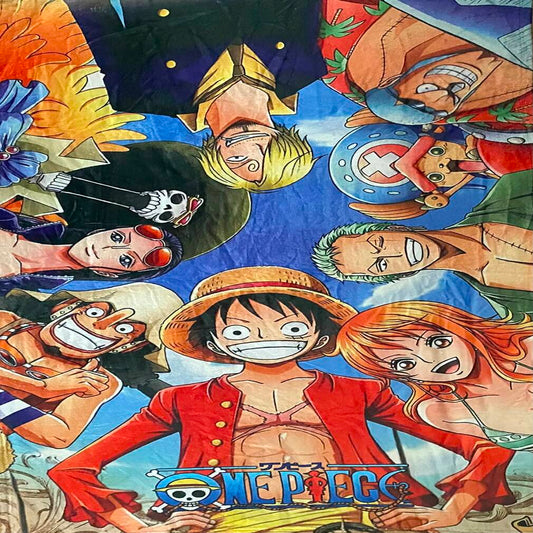 Cobija Frazada Ultra Suave One Piece Equipo