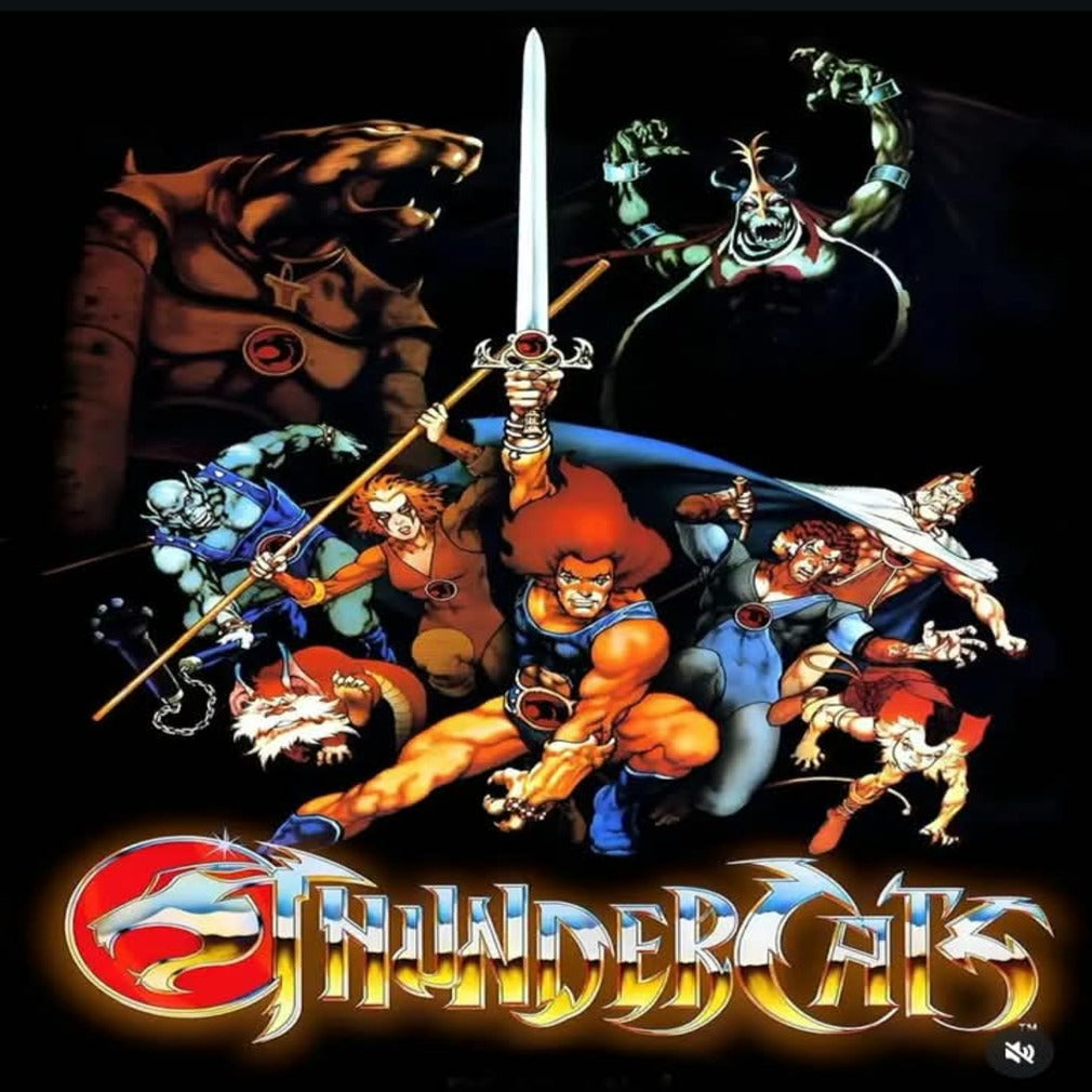 Cobija Frazada Ultra Suave Thundercats Oh