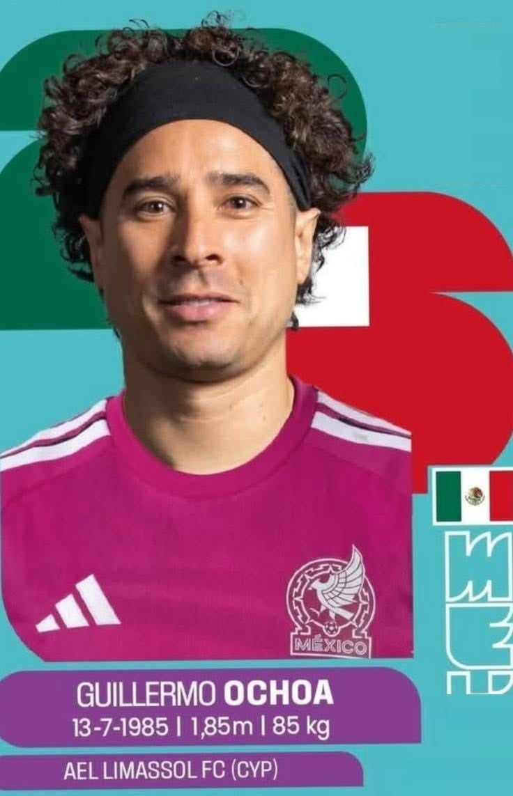 Cobija Frazada Ultra Suave Memo Ochoa Estampa