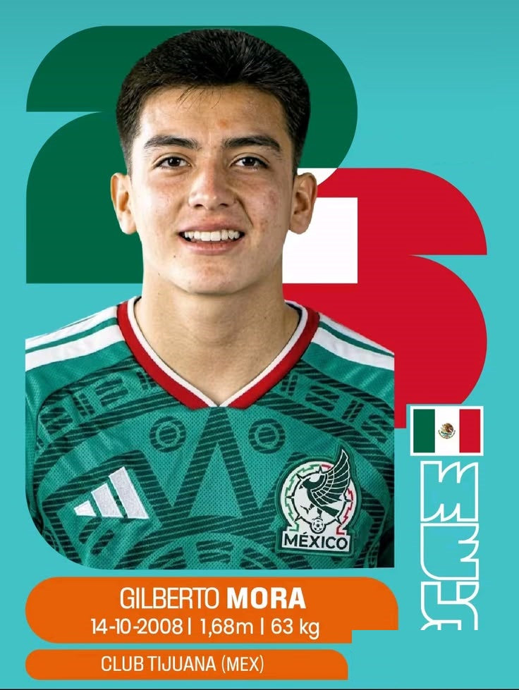 Cobija Frazada Ultra Suave Gil Mora Morita Estampa