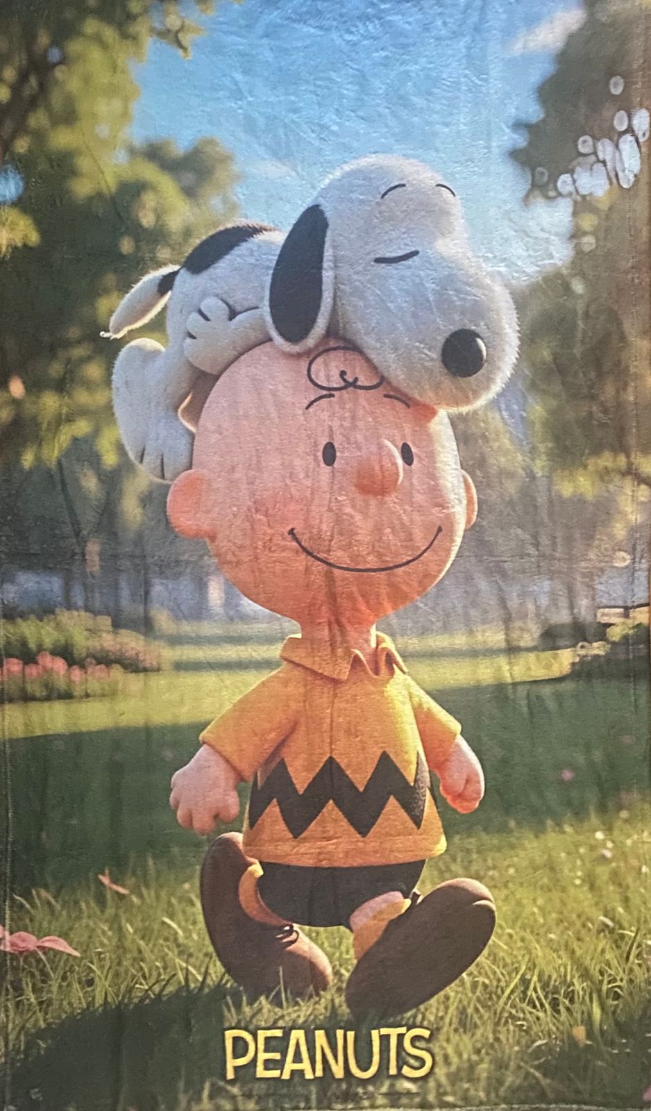 Cobija Frazada Ultra Suave Charlie Brown Snoopy 3D