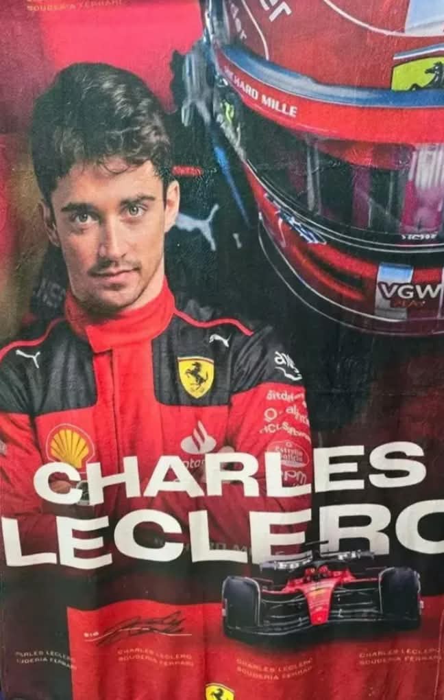 Cobija Frazada Ultra Suave Charles Leclerc