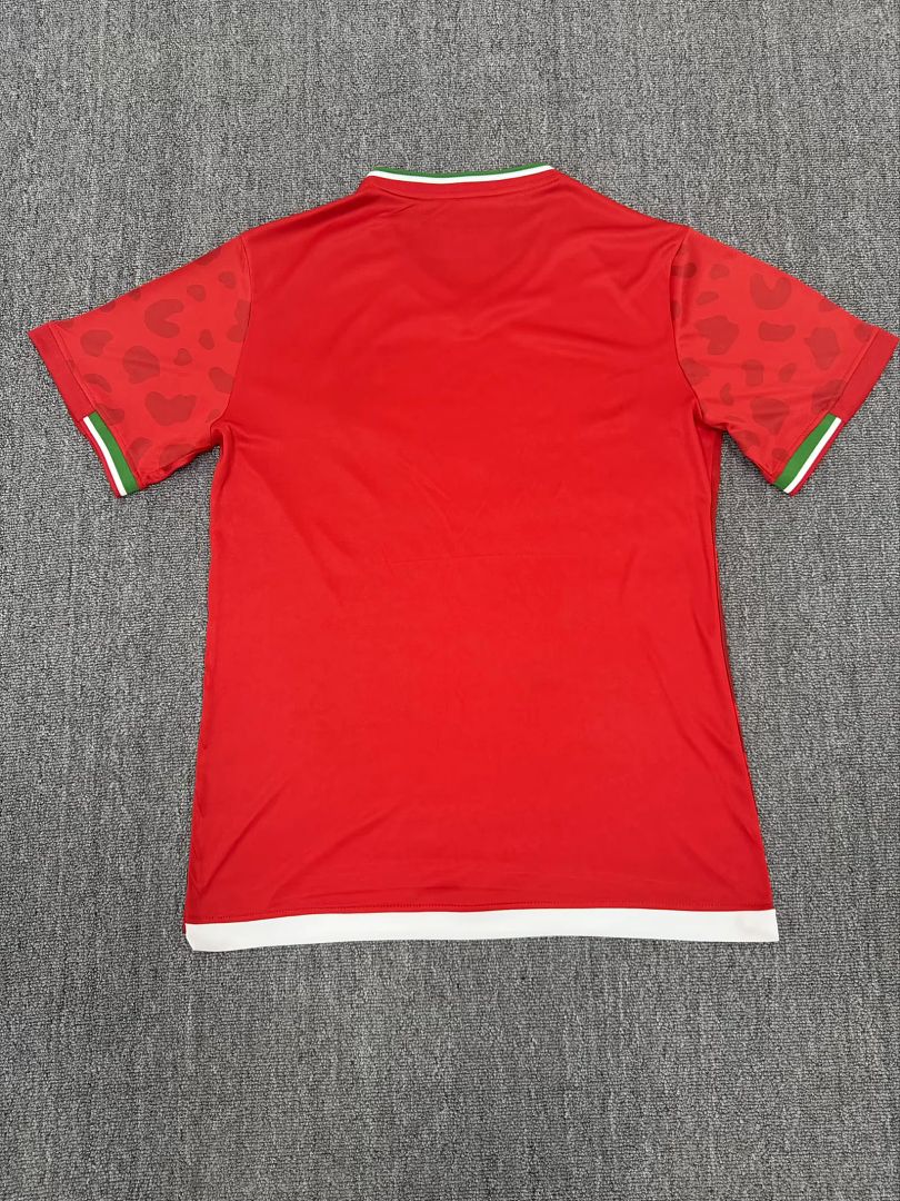 Jersey Playera Iran Edicion Especial 2026 Rojo