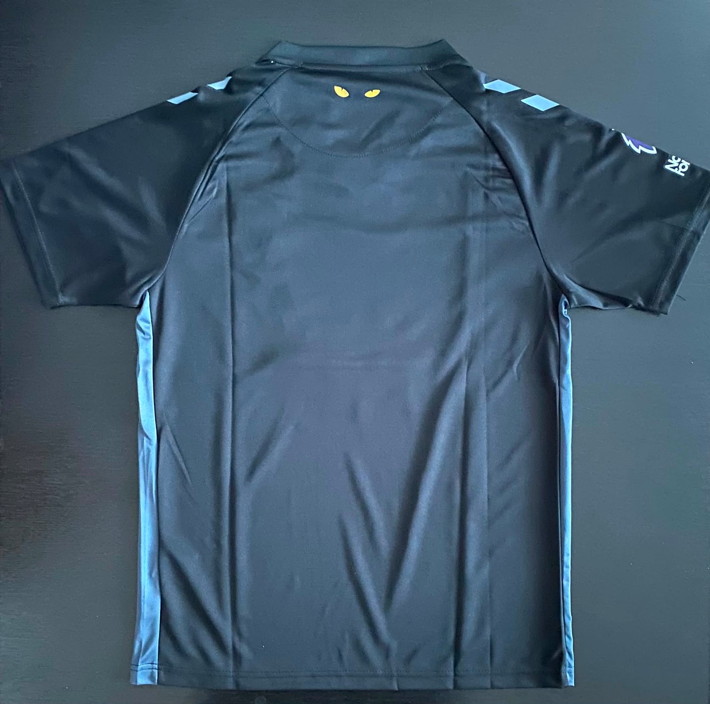 Jersey Playera Sunderland Inglaterra Edicion Especial 25/26 Black